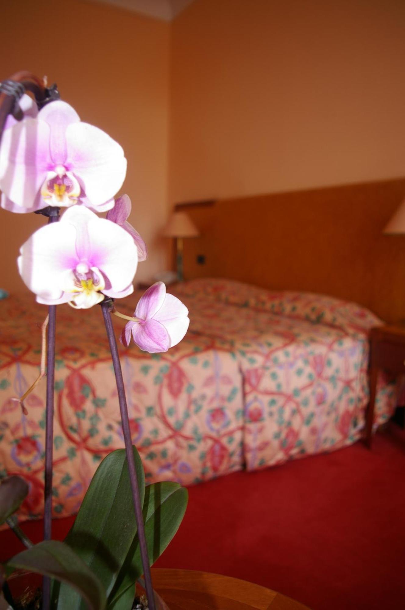 וישי Hotel Aletti Palace מראה חיצוני תמונה